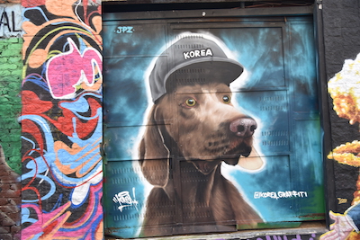 photo d'un graffiti avec un chien casquetté.