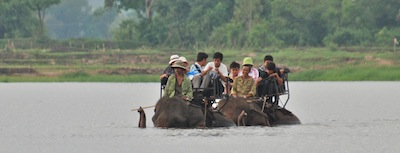 photo d'un éléphant traversant un lac