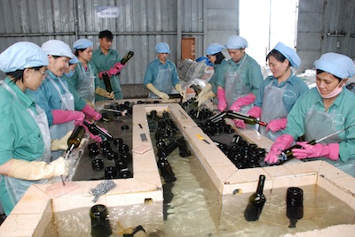 photo de femmes  recyclant des bouteilles de Vin à Dalat