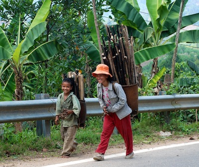 photo d'une mère et de son fils transportant des bambous !
