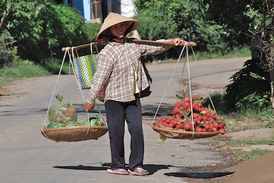 photo d'une jeune femme transportant des rambutans sur sa palanche!