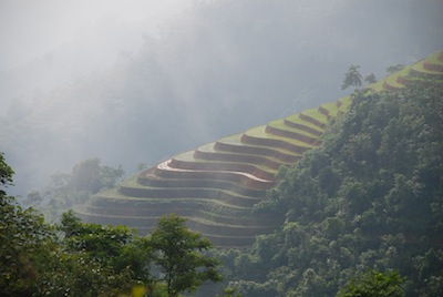 photo d'un paysage de terrasses en rizières