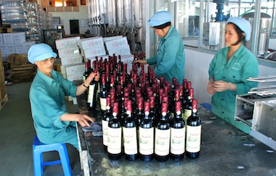 photo de femmes triant des bouteilles de Vin à Dalat